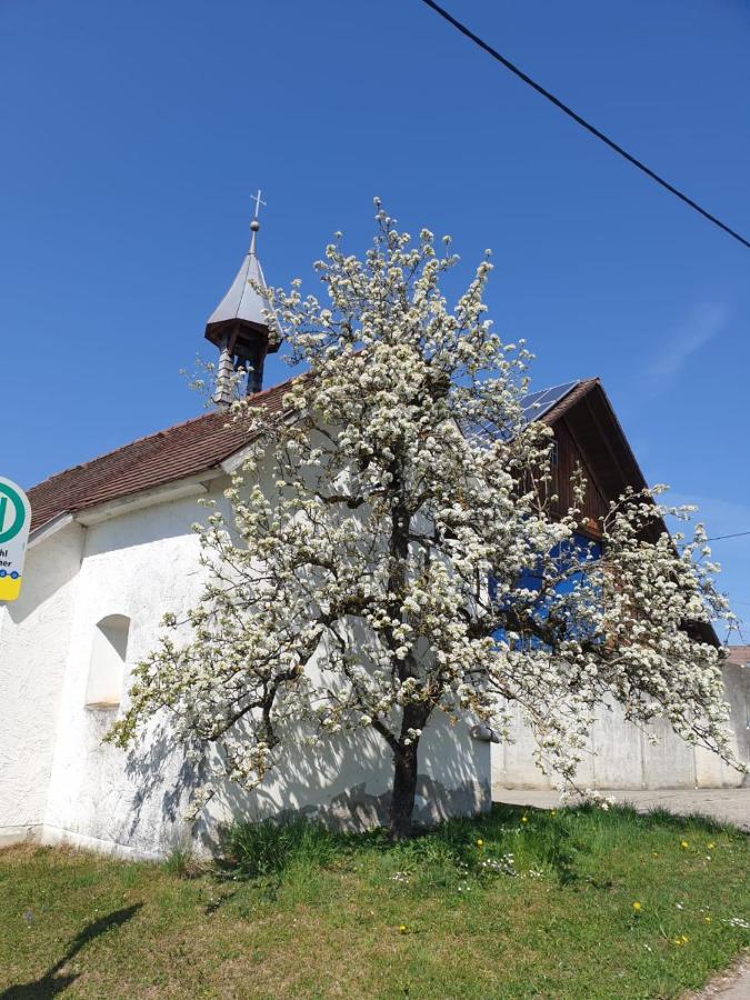 Ferienwohnung Rupp Argenbuhl Luaran gambar